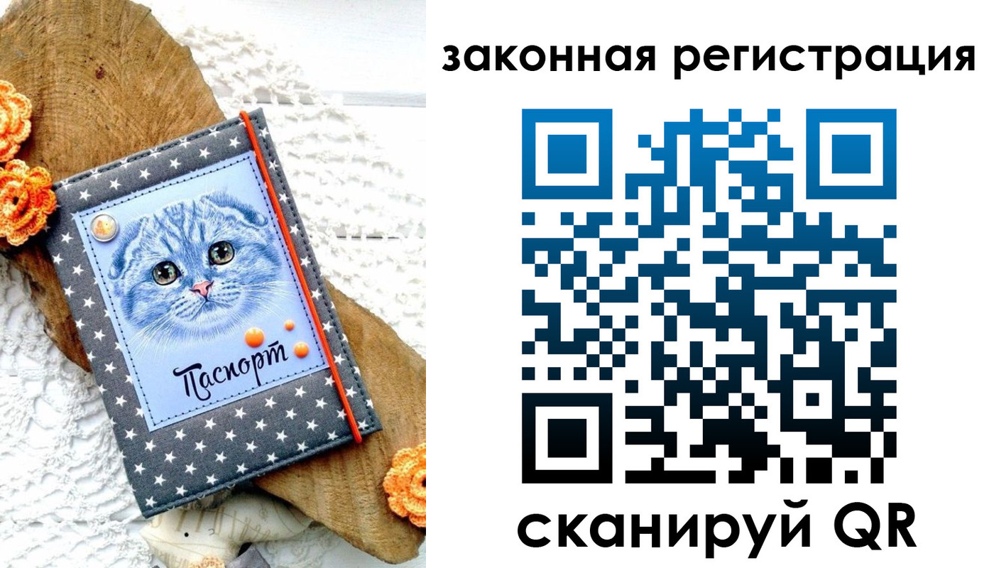 регистрация в Ковылкино